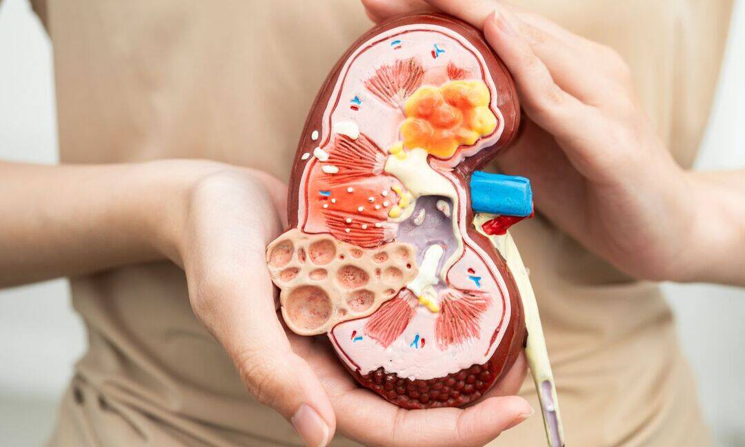 Hyderabad man donates kidney to save his nephew