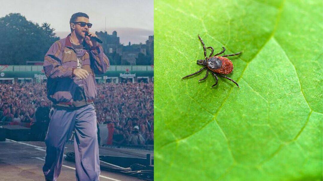 Justin Timberlake prioritises health after Lyme diagnosis 