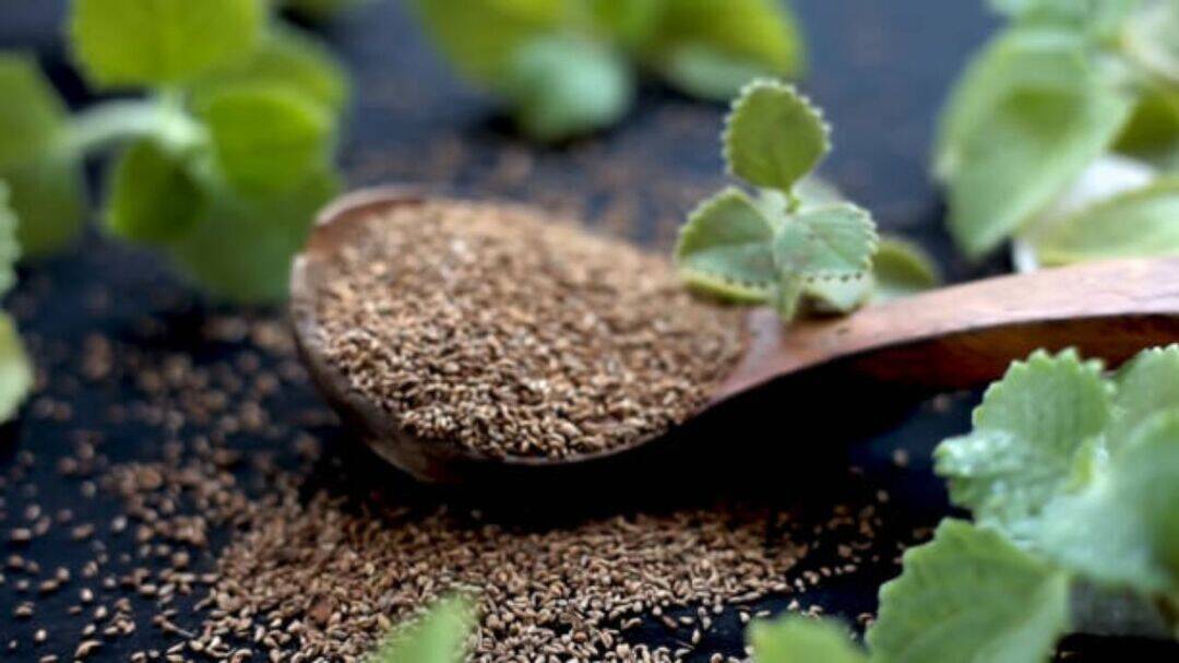 What is ajwain steam, a remedy for congestion relief in winter?