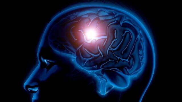 Why does the brain get tired?