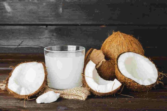 Coconut milk offers a lactose-free alternative: Experts