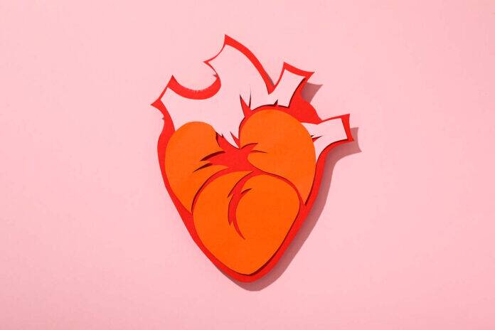 Why is protecting your heart one of the best brain boosters?