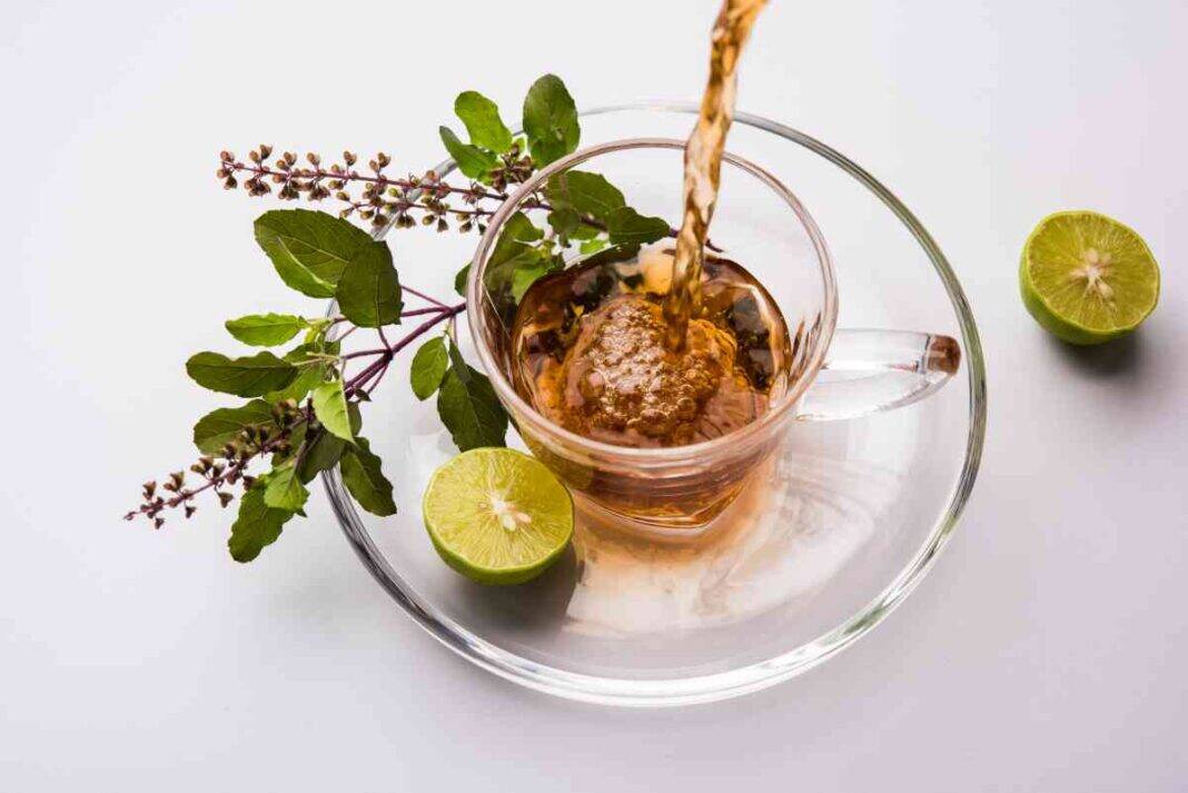 Can tulsi leaves really control diabetes? 