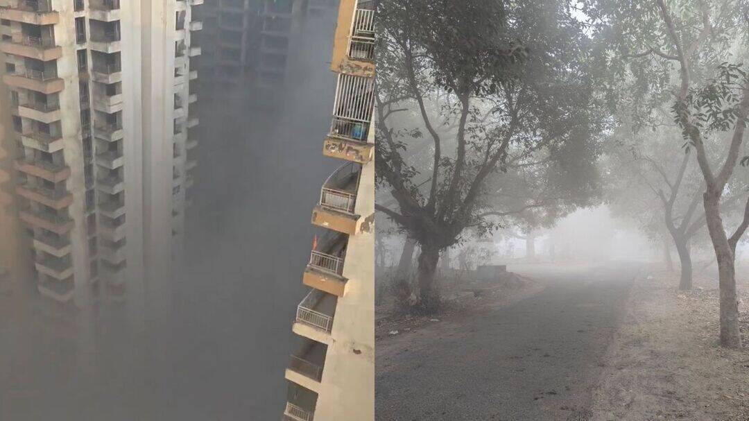 What is smog and what are the risks it poses? 