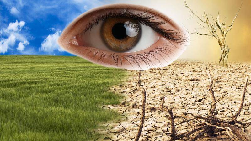 Climate change threatens surge in blindness: Research