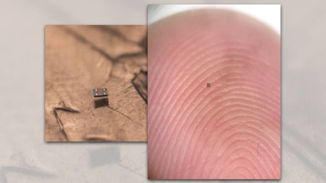 Scientists create world's smallest programmable robots, share pics
