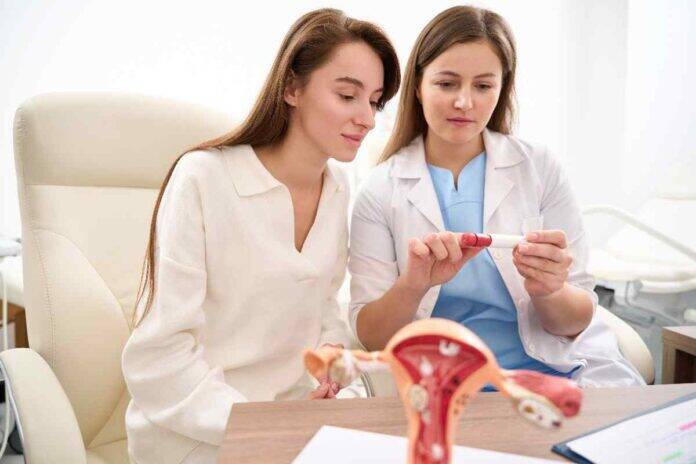 Expert addresses how fallopian tubes support reproduction