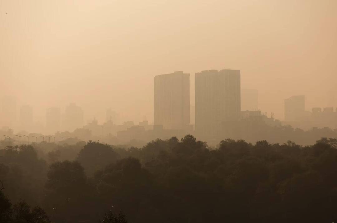 Polluted air hurts gut health, triggers liver stress: Study