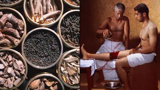 WHO backs AI to bring science to traditional medicine
