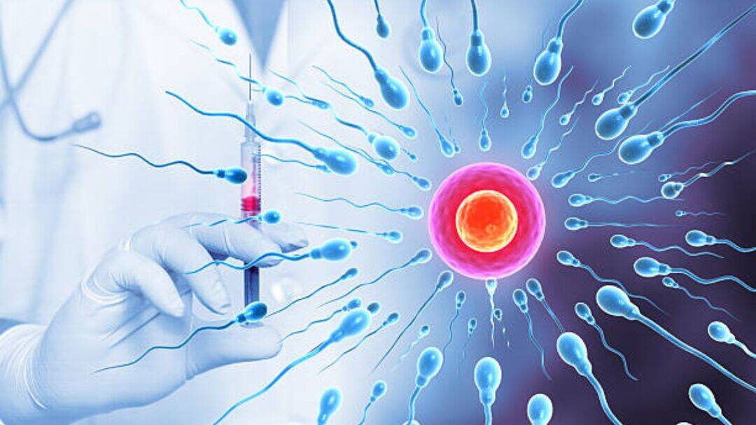 Alcohol, stress, poor sleep threaten male fertility, says expert