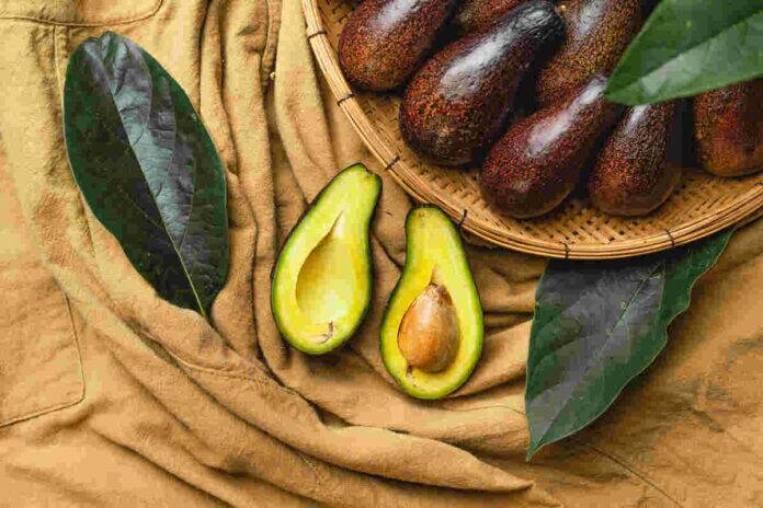 Dietitian reveals how avocados can improve mood stability