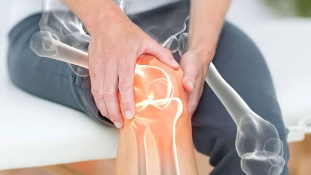 Brazilian plant shows promise in reducing arthritis pain