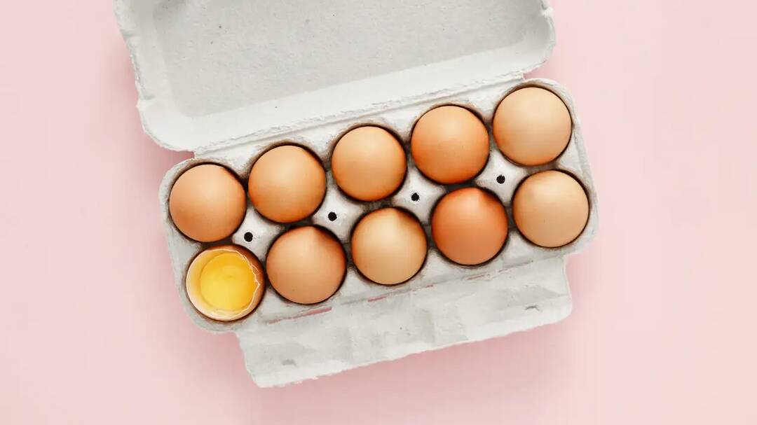What are the alternatives of egg for protein intake?