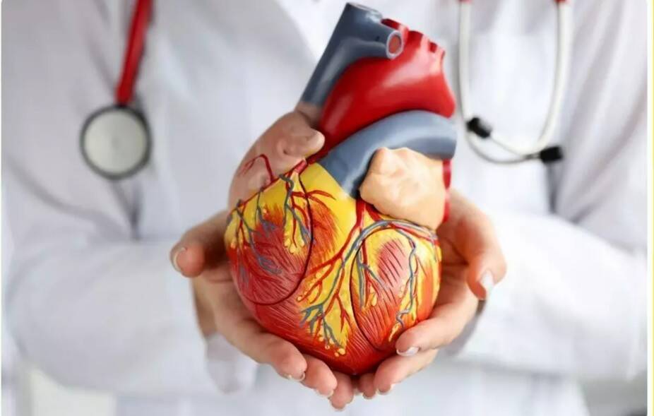 Neck vein pulsation leads to discovery of silent heart tumour