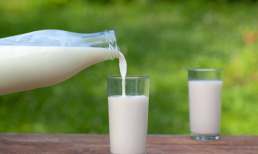 How to give milk to children in winter for better digestion 