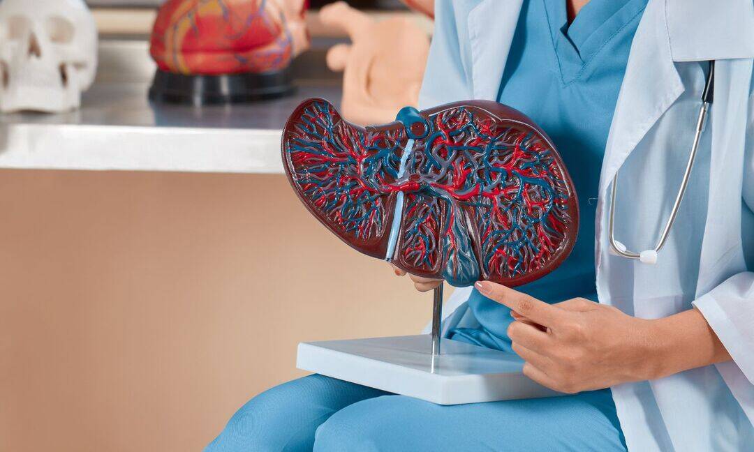 New drug shows promise for rare liver disease patients