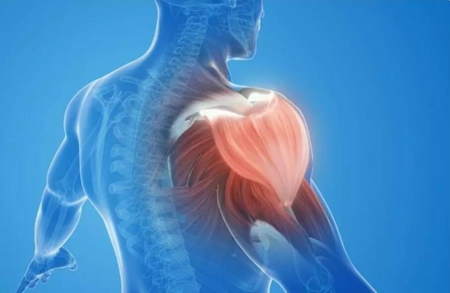 The role of ultrasound in detecting internal damage 