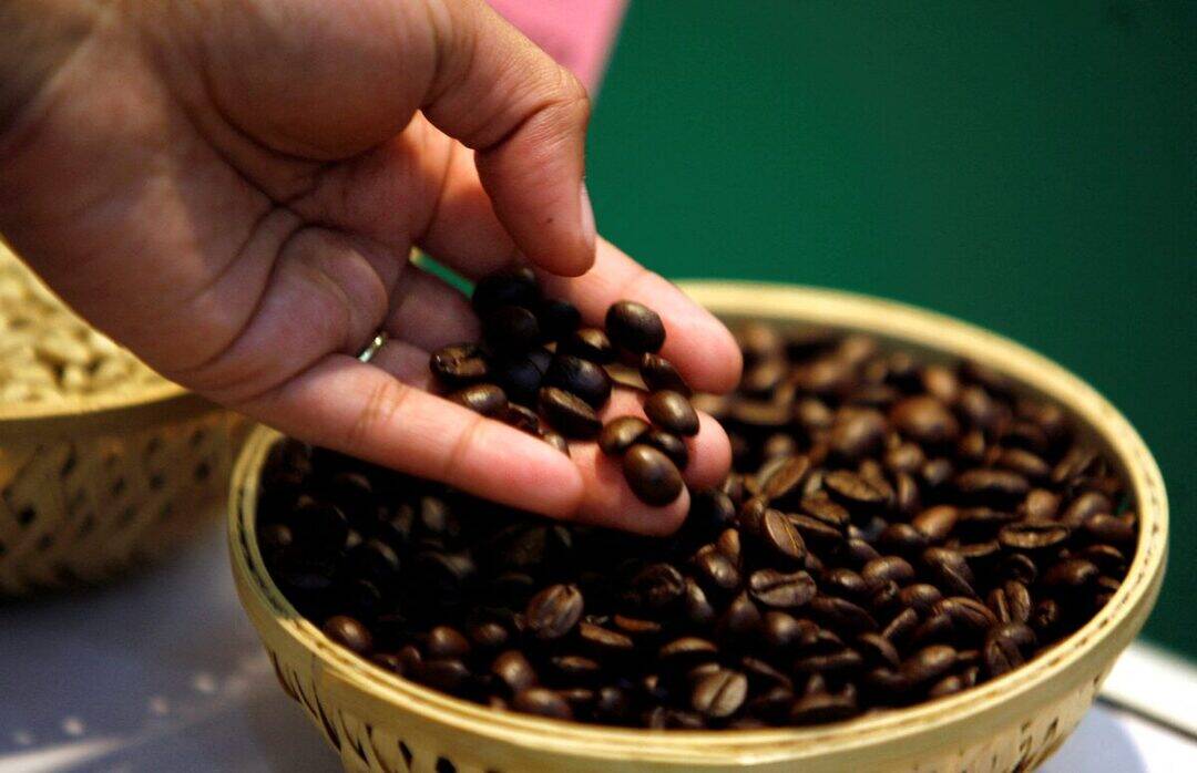 Up to 10% of cockroach traces permitted in coffee, says US' FDA