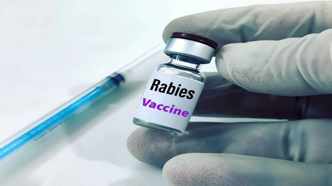 Hyderabad vaccine firm junks Australian alert on fake rabies doses