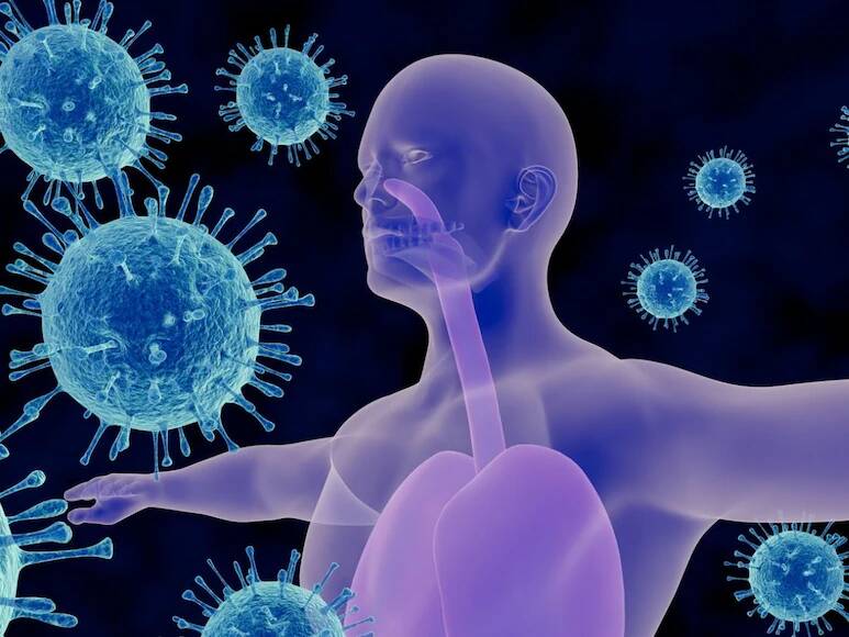 Scientists find way to rejuvenate immune system as person ages