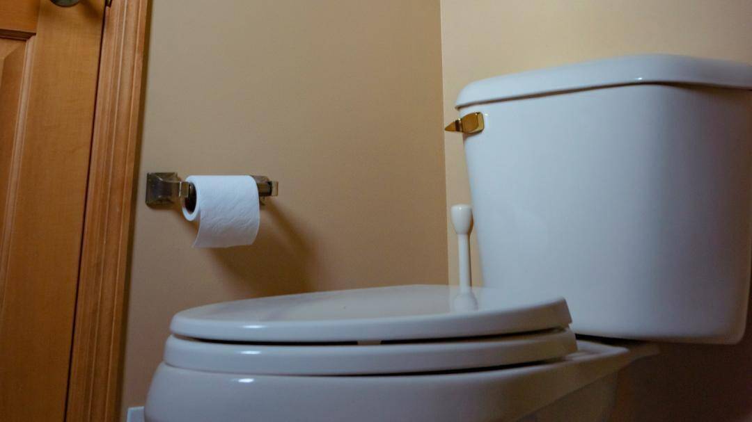 What does the colour of urine indicate?