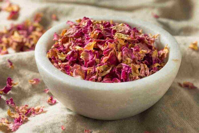 Do rose petals have real potential to help diabetes?