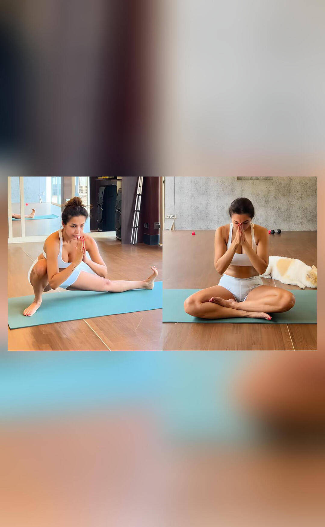 Fans impressed with Malaika Arora's 2026 fitness goals