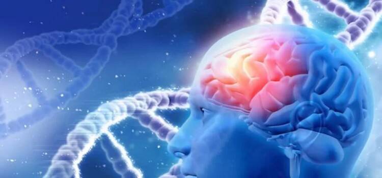 Study links brain glucose levels to Alzheimer’s progression