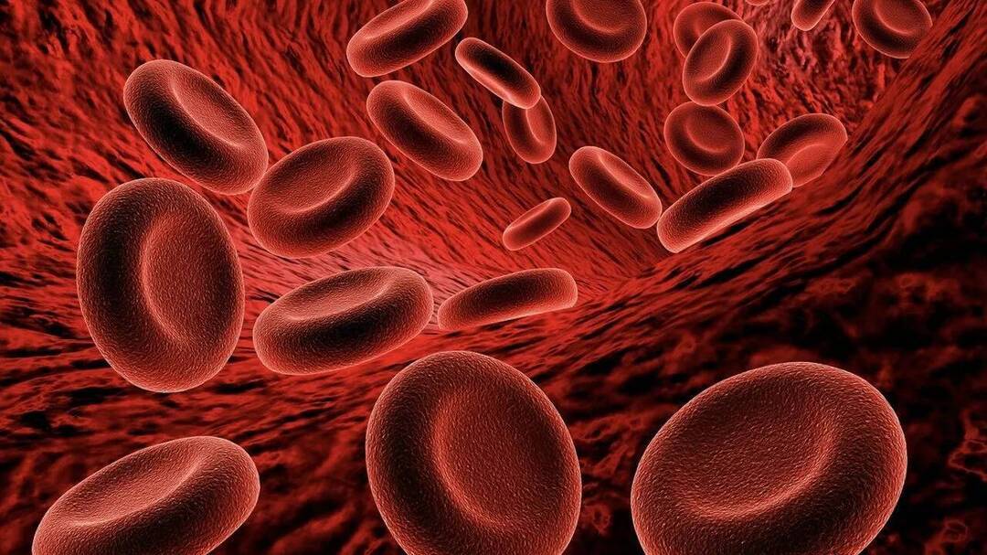 USFDA clears first oral treatment for alpha, beta thalassaemia