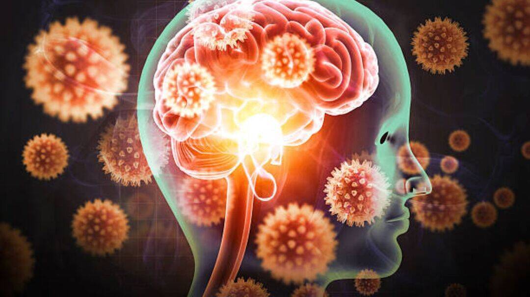 Air pollution in the womb can permanently alter brain: Doctor