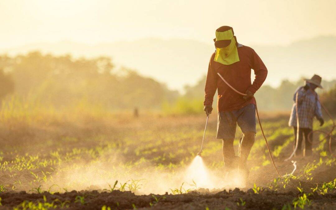 Krishana Phoschem falls 3% despite reporting 117% rise in revenue 