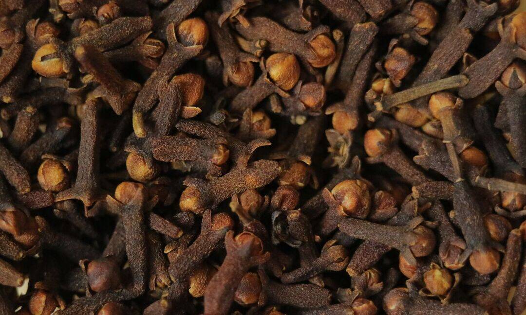 Cloves are natural painkiller for toothache and migraine