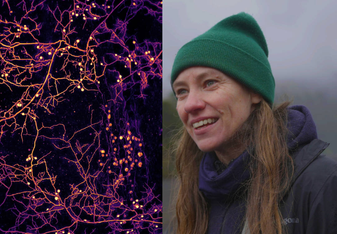 Dr Toby Kiers awarded 'Nobel for Environment', wins ₹2.26 crore cash prize