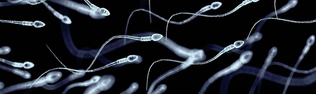Hidden RNA 'ageing clock' discovered in human sperm