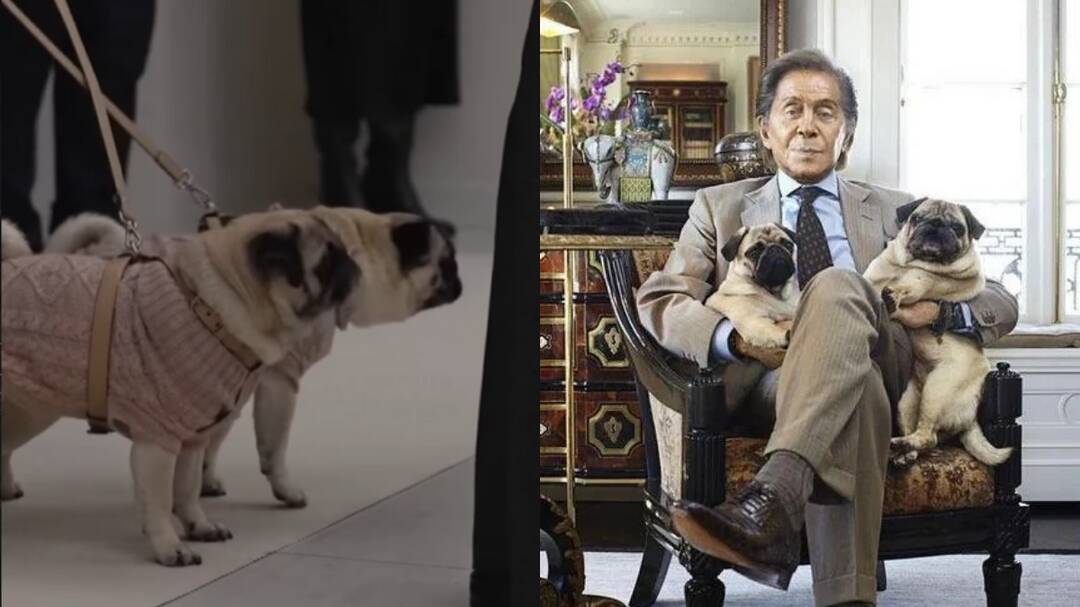 Valentino Garavani’s pugs bid emotional farewell at Rome viewing