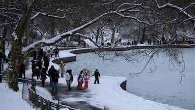 What are 'exploding trees'?            