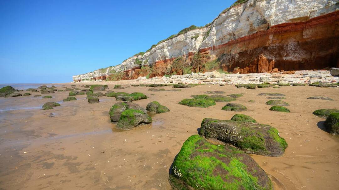 800,000 years old Ancient human footprints found on Norfolk beach