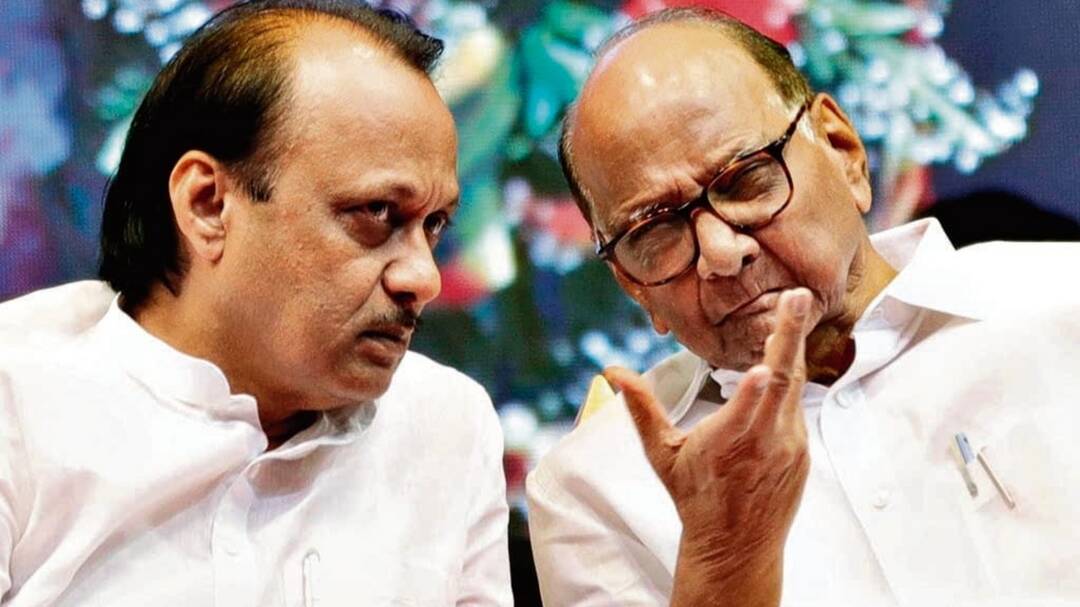 Purely an accident, no politics in it: Sharad Pawar in 1st reaction on Ajit's death in crash
