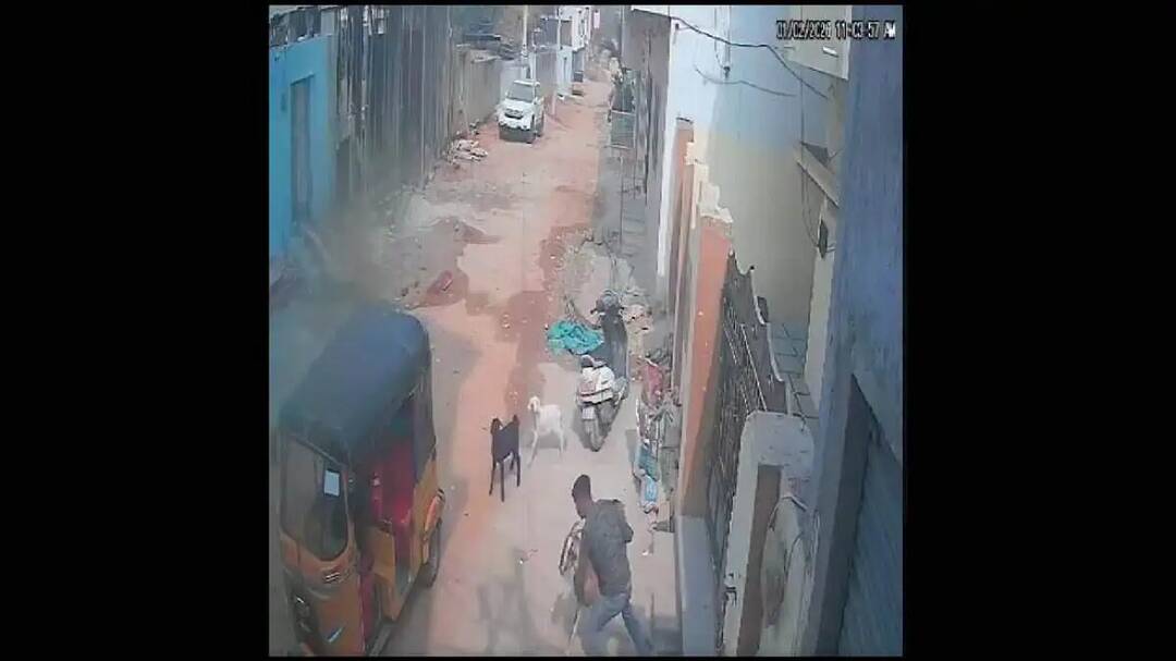 Two men steal goat from Hyderabad's Shaheen Nagar 