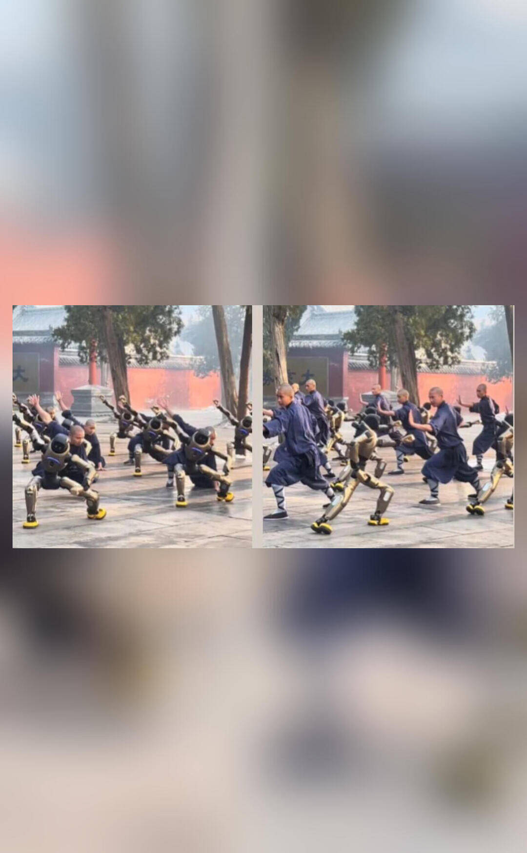 Video shows humanoid robots practicing kung fu with monks in China