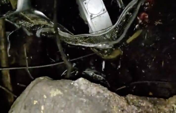 Delhi-bound medical plane with 7 people onboard crashes