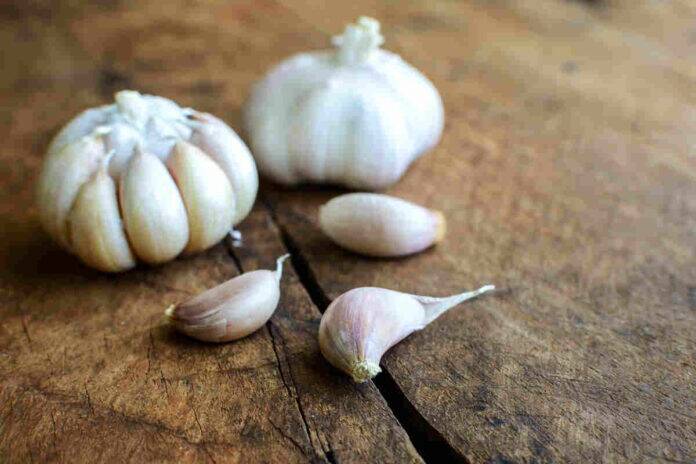 Is it safe for breastfeeding mothers to eat garlic daily?