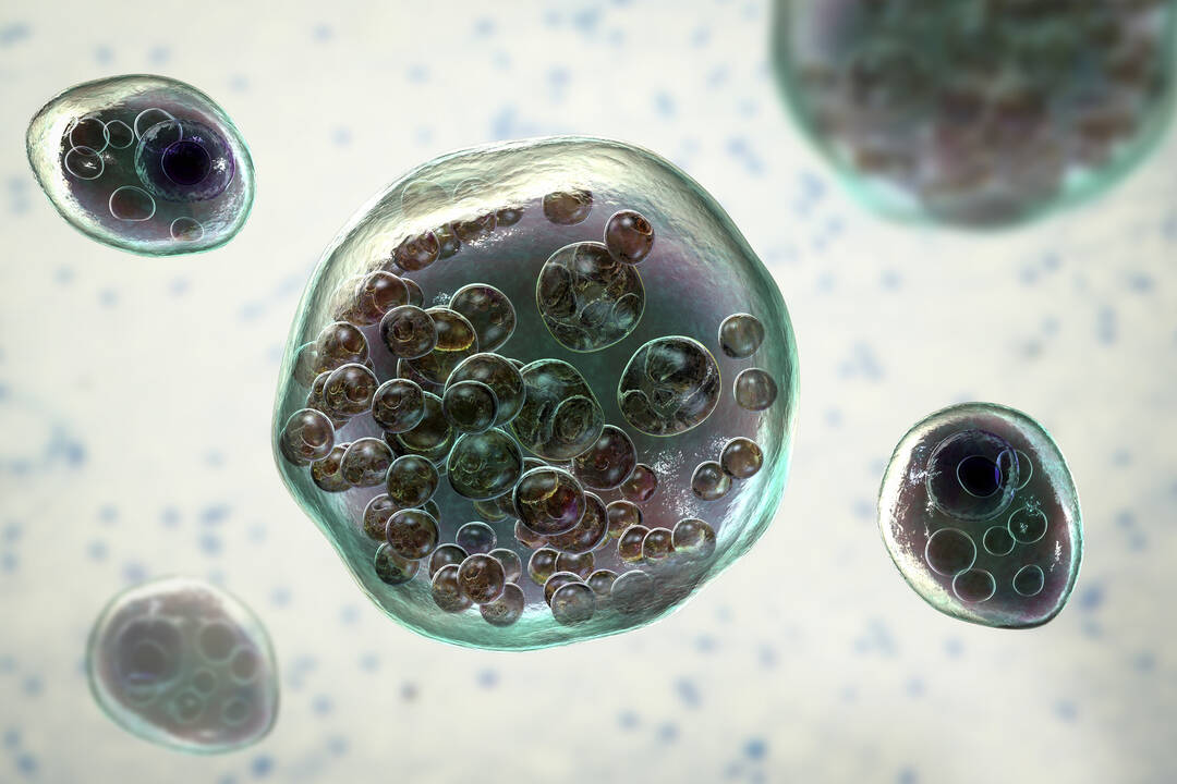 1951 CIA report on parasite-cancer similarities sparks debate