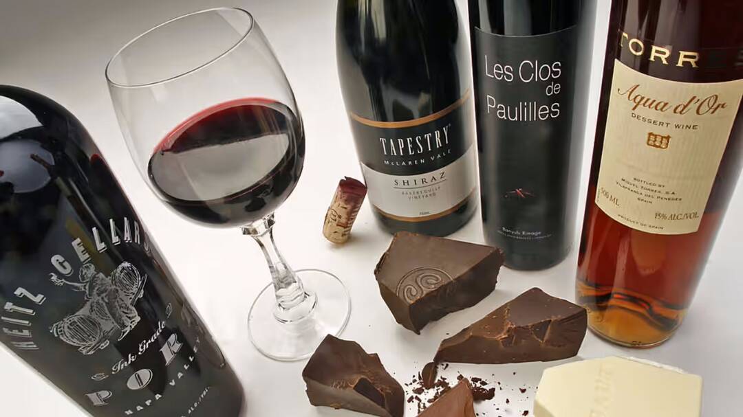 Chocolate and red wine could improve memory and focus: Study