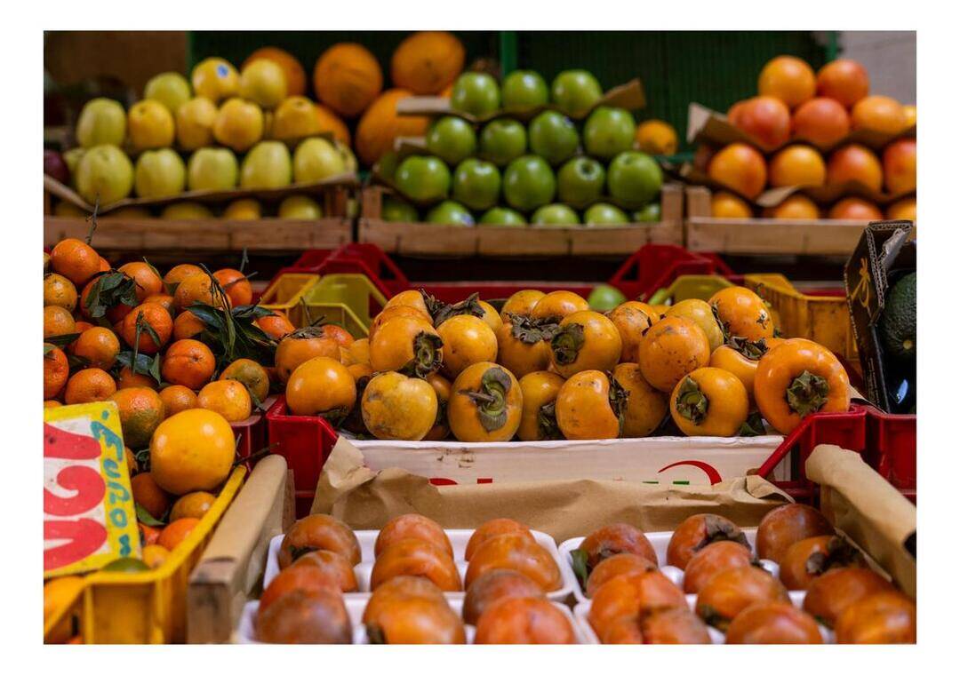 New study shows plant based diets cut diabetes risk