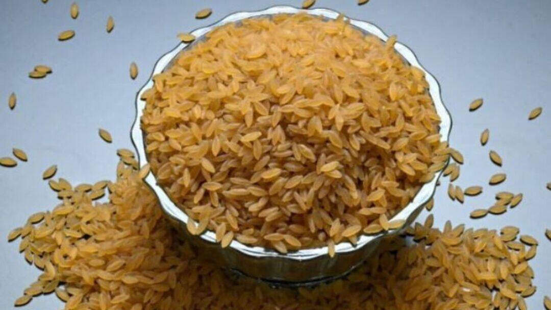 Indian scientists develop Designer Rice to fight diabetes