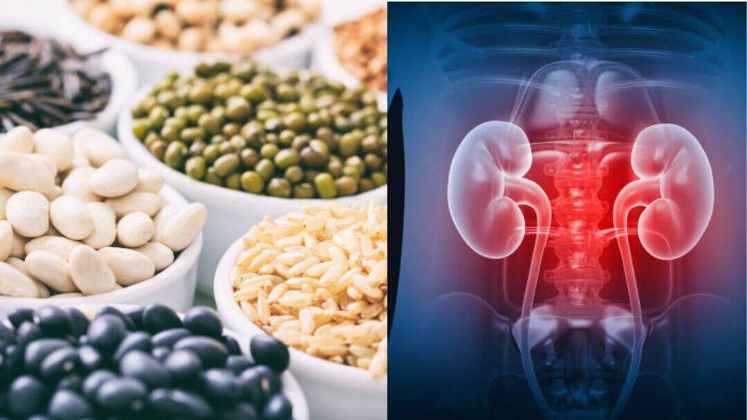 Expert advises balanced consumption of protein intake in diets