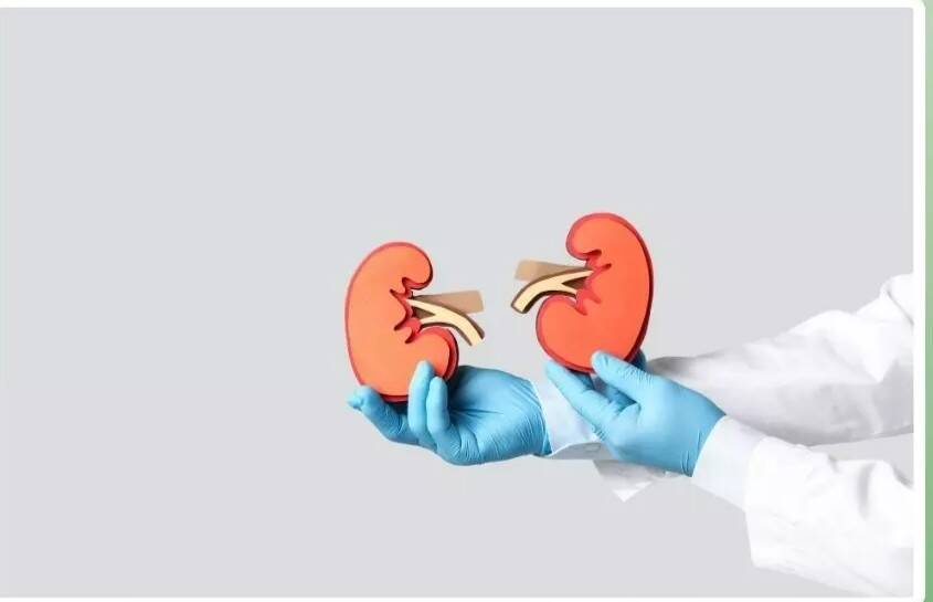 Silent kidney disease in children needs early detection: Expert