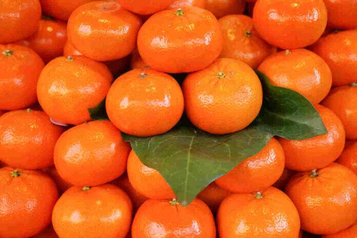 Mandarins rich in vitamin C, fibre may support immunity, digestion