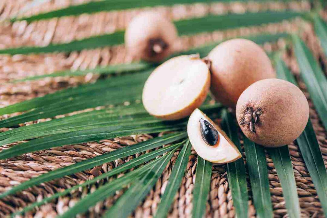 Fact Check: Can eating chikoo really improve eyesight?